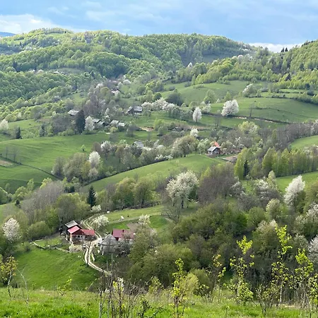 Casa De Vacanta Ovy Campsite Oidesti